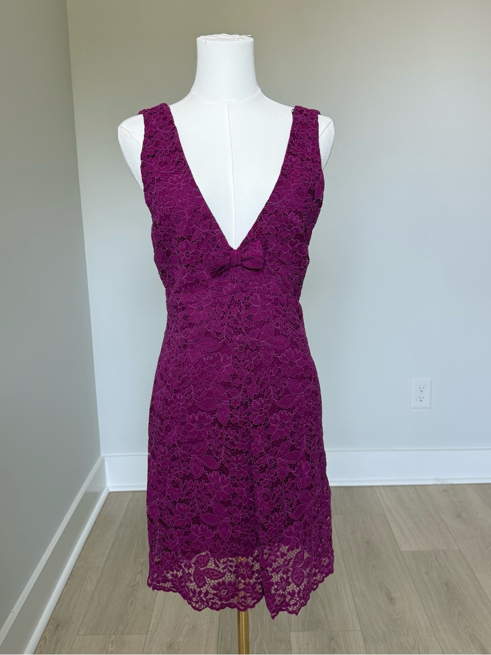 NWT ZARA Deep Plum Lace V-Neck Mini Dress